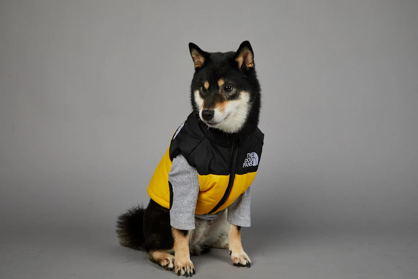 Der luxuriöse Hundeanzug für Hundefans