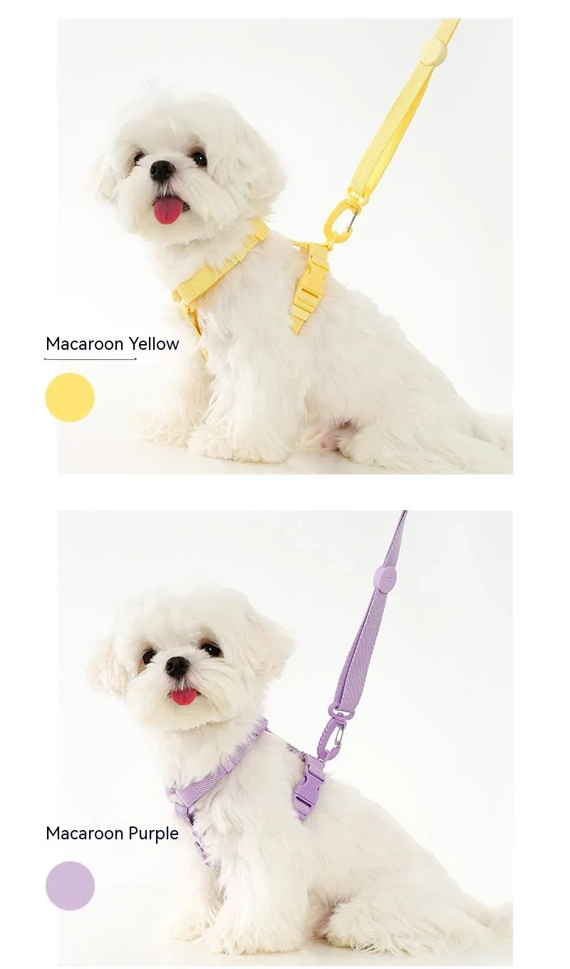 MacaroneWalk – Verstellbares Hundegeschirr-Set mit Halsband und Leine