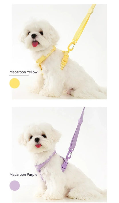 MacaroneWalk – Verstellbares Hundegeschirr-Set mit Halsband und Leine