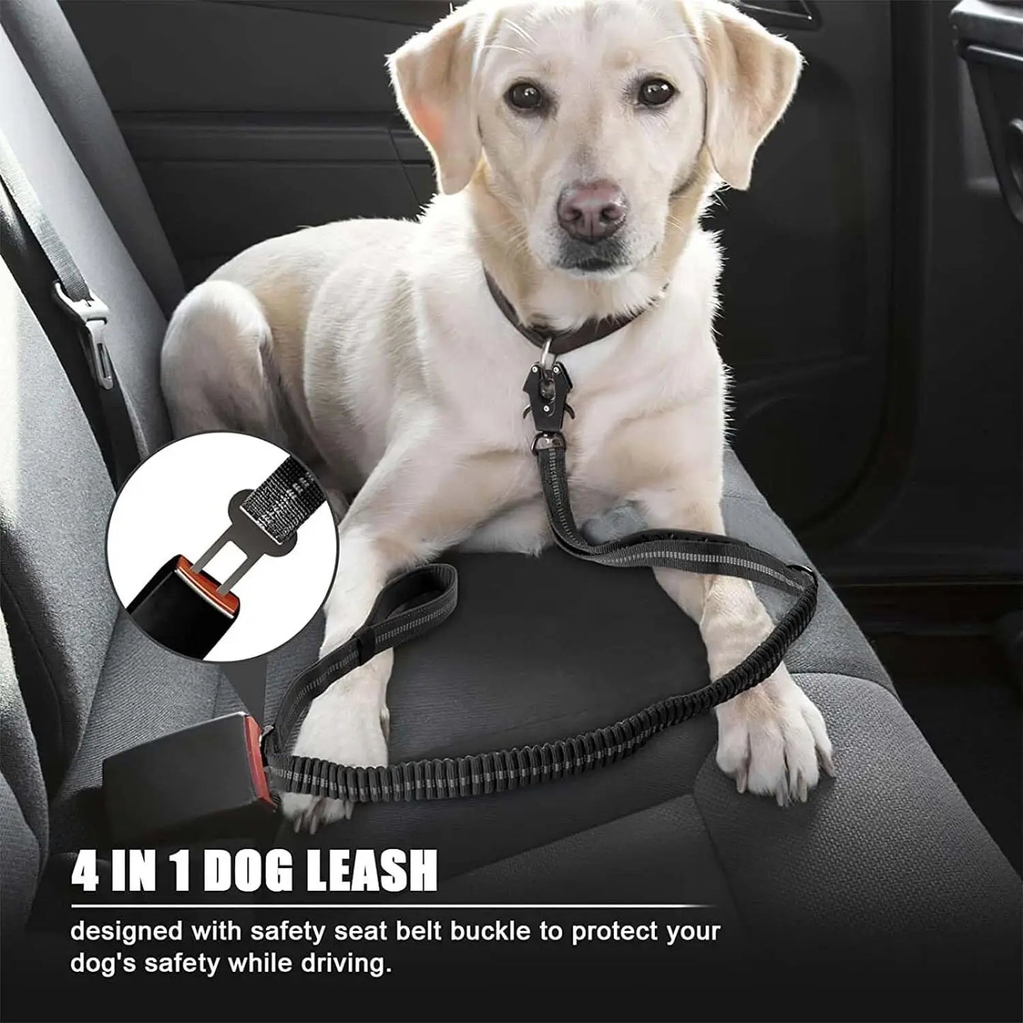 Reflektierende Bungee-Hundeleine aus Nylon – Für große Hunde, Schwarz