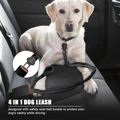 Reflektierende Bungee-Hundeleine aus Nylon – Für große Hunde, Schwarz
