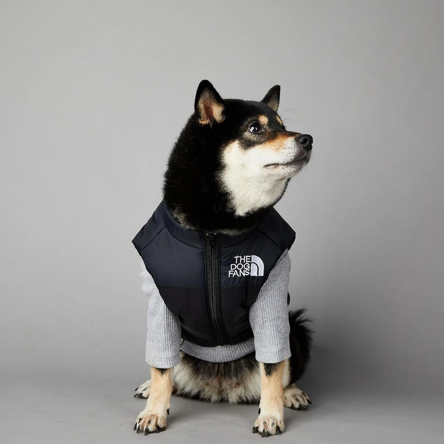 Der luxuriöse Hundeanzug für Hundefans