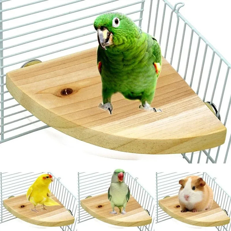 Standard-Papageienstange aus Holz – natur, fächerförmig