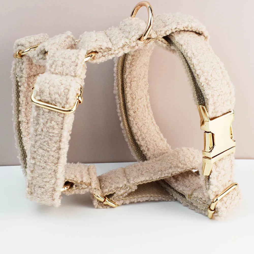Teddy Luxus personalisiertes Hundehalsband- und Leinen-Set