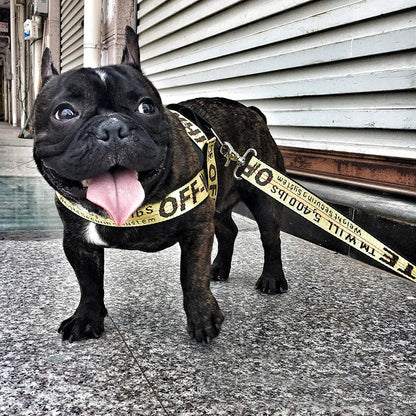 Lux Welpe Goldener Hund Halsband- und Leinen-Set