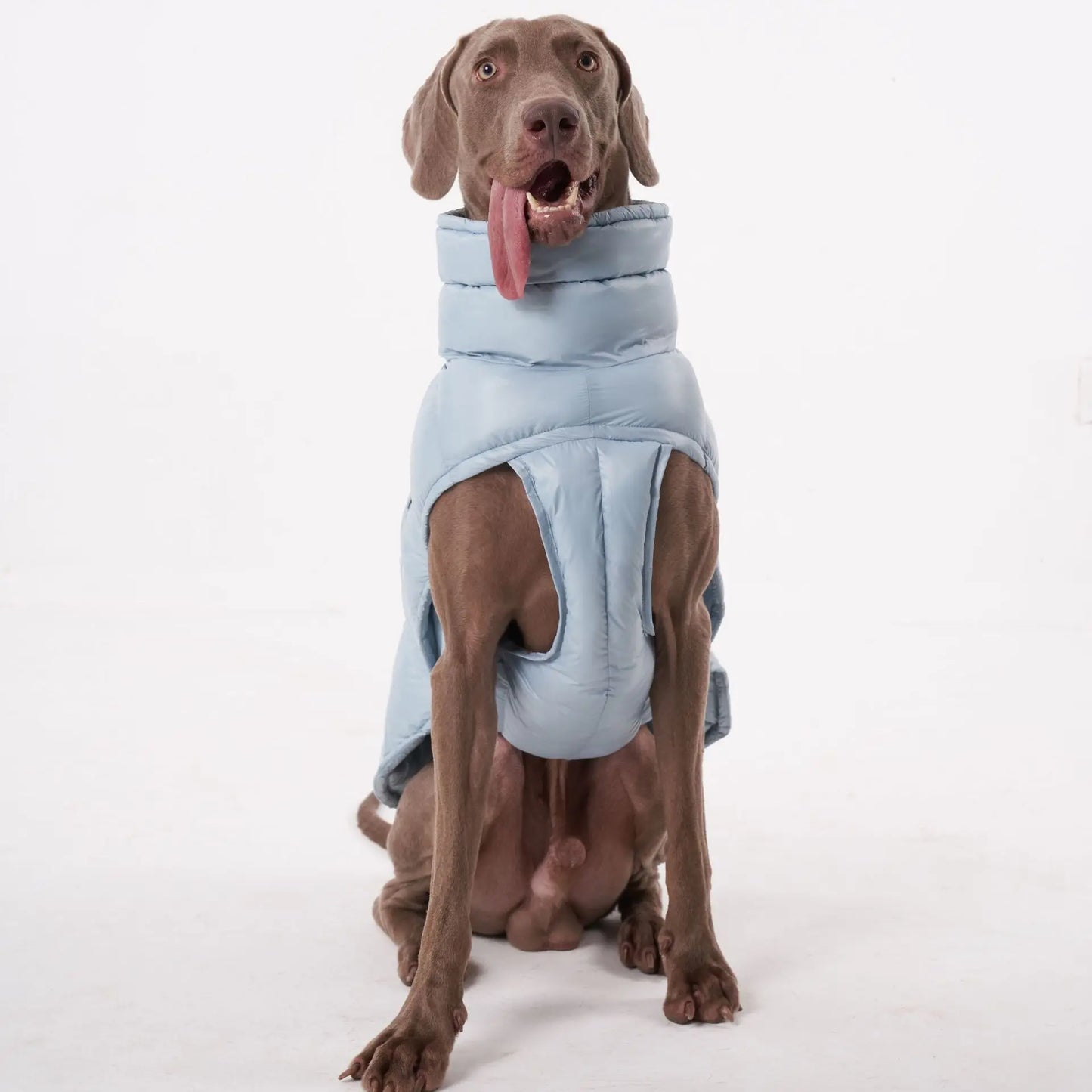 Premium Winter Winddichte Hundejacke
