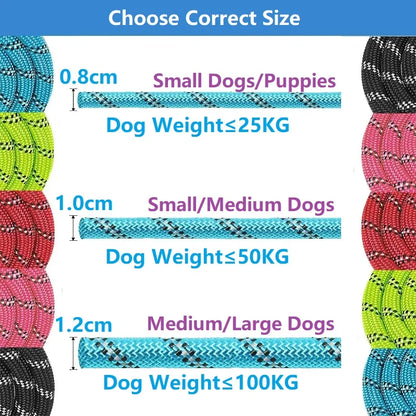Robuste Nylon-Hundeleine 150 cm, 200 cm, 300 cm – mit weichem Griff und Karabinerhaken