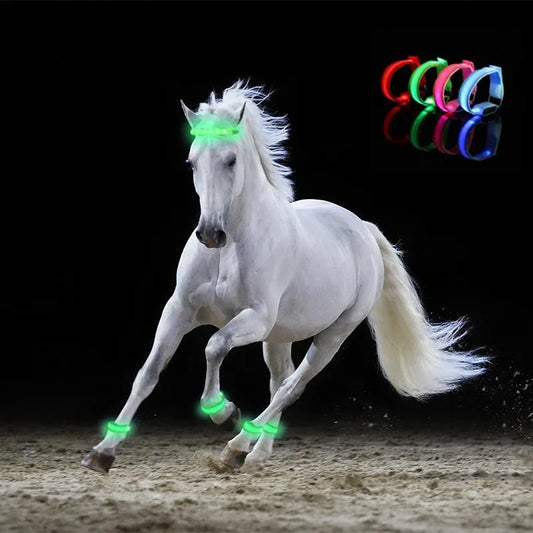 NightStride Safe – LED Sicherheits-Beinbänder für Pferde