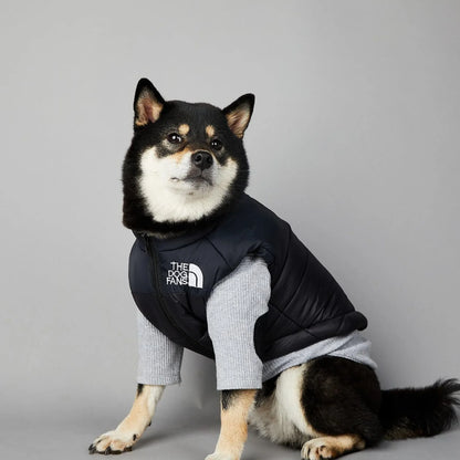 Der luxuriöse Hundeanzug für Hundefans
