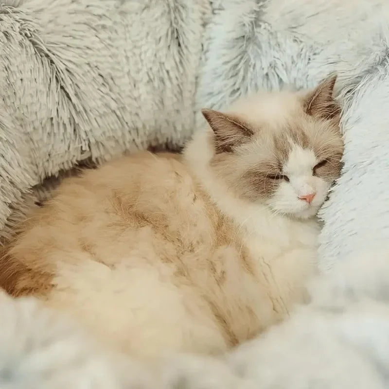 Donut-Katzenbett mit Tunnel – Weicher Plüsch, Ø95 cm – Grau in Beige
