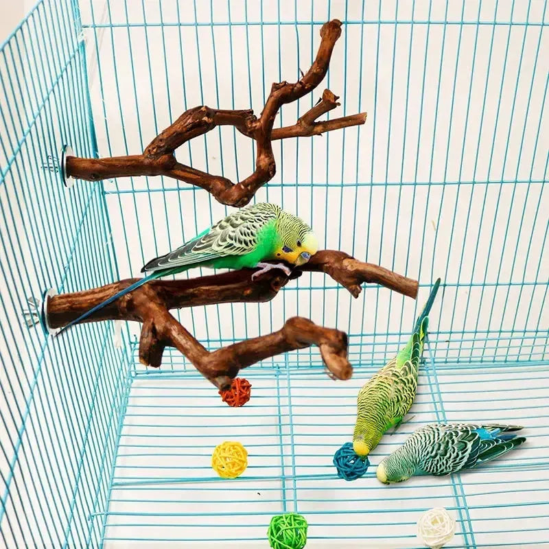 Papageiensitzstange aus Weinrebenholz, natürlich für Schnabel und Krallen, 25 cm