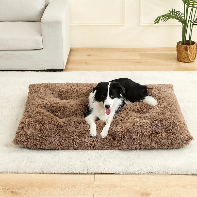 Plüsch-Hundebett – Weicher Korb für Hund oder Katze (60–70 cm)