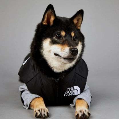 Der luxuriöse Hundeanzug für Hundefans