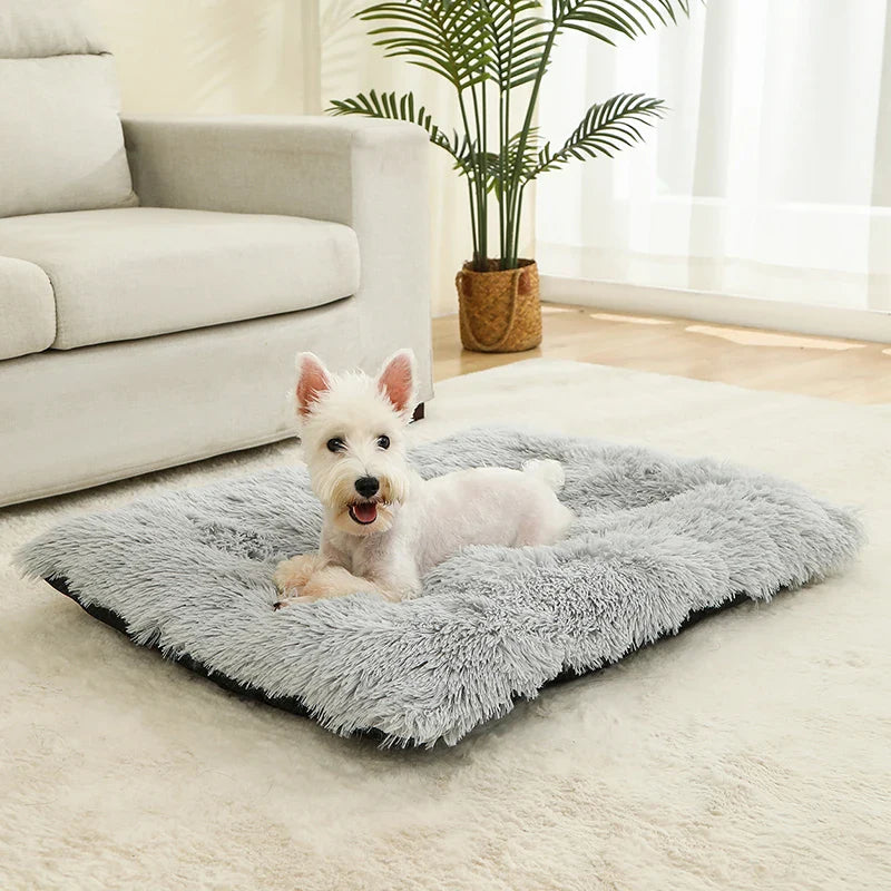 Plüsch-Hundebett – Weicher Korb für Hund oder Katze (60–70 cm)