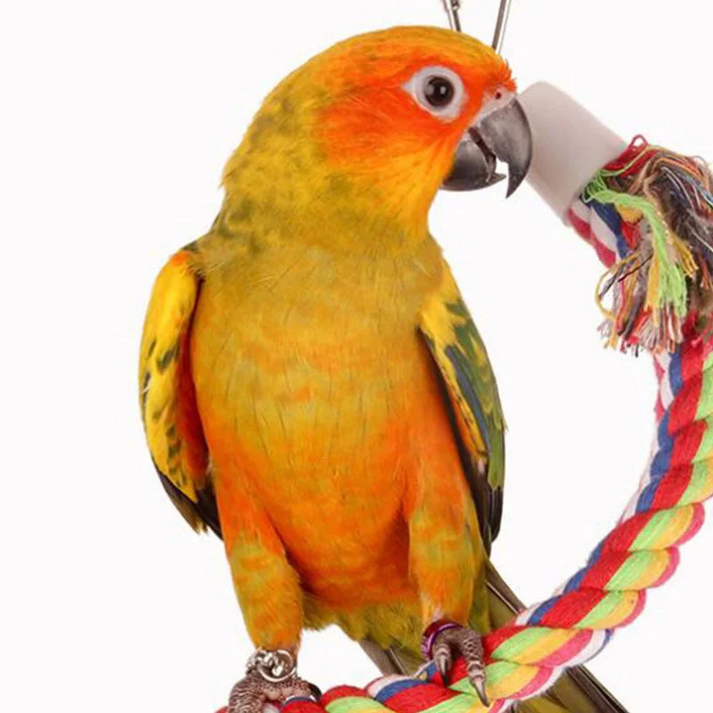 Geflochtene Vogelschaukel aus Baumwolle – 50 cm Kauspielzeug für den Käfig