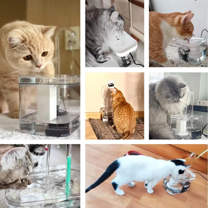 Katzenbrunnen 1,5 l – Automatisch, leise, BPA-frei und transparent