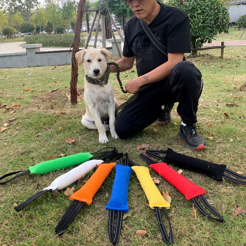 PowerPlay Hundebeißstock