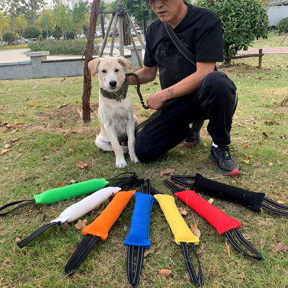 PowerPlay Hundebeißstock