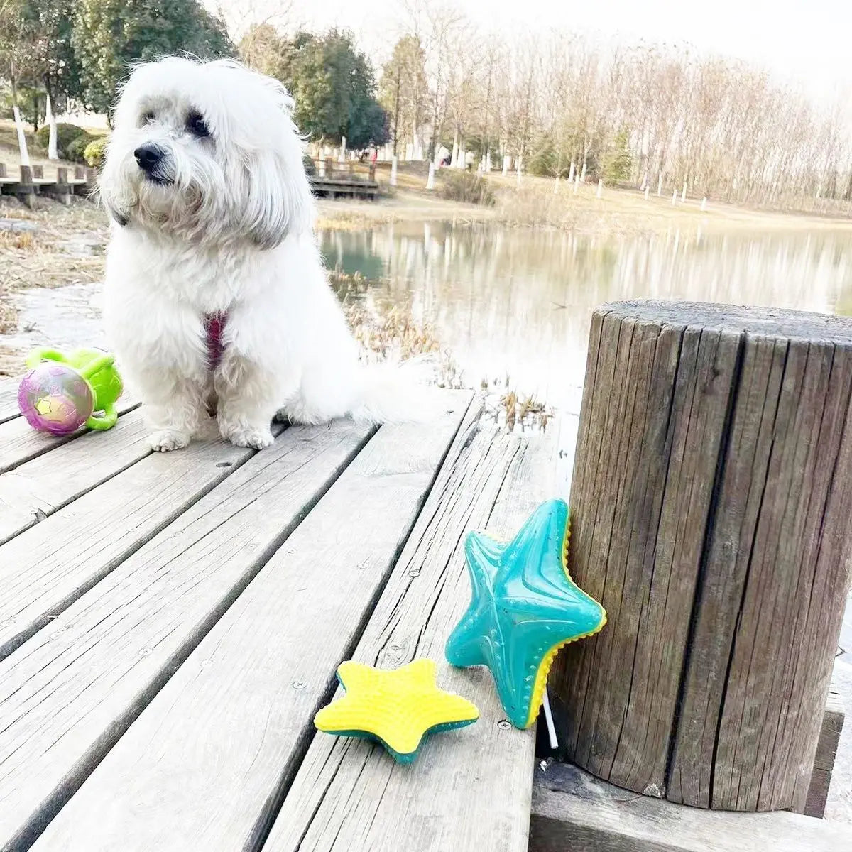 FrostyGlow Hundespielzeug – Leuchtendes, im Dunkeln schmelzbares und schwimmendes Gummispielzeug für sommerlichen Spielspaß
