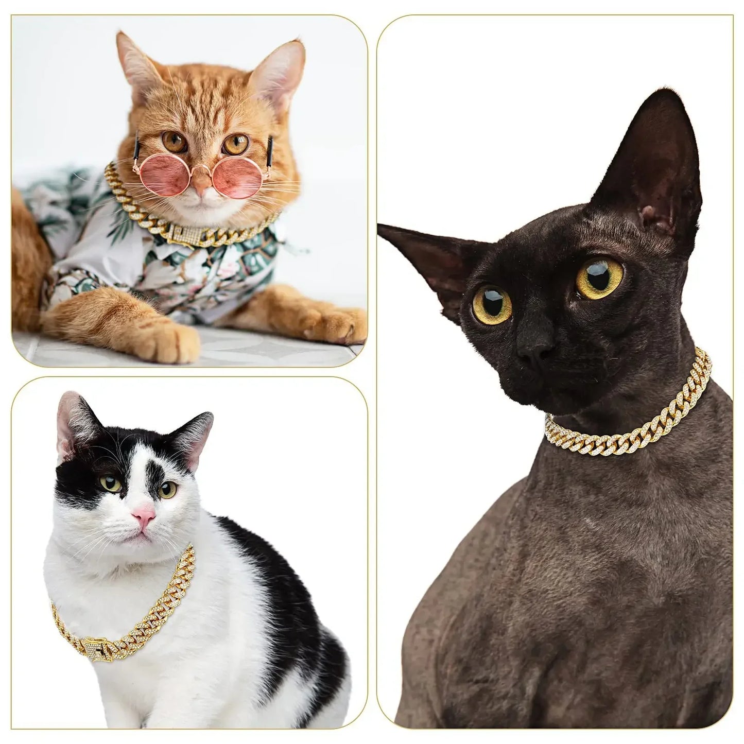 RoyalPaw Diamant-Kubanische Hundekette
