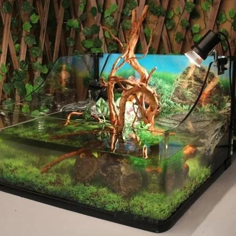 Aquariumdekoration
