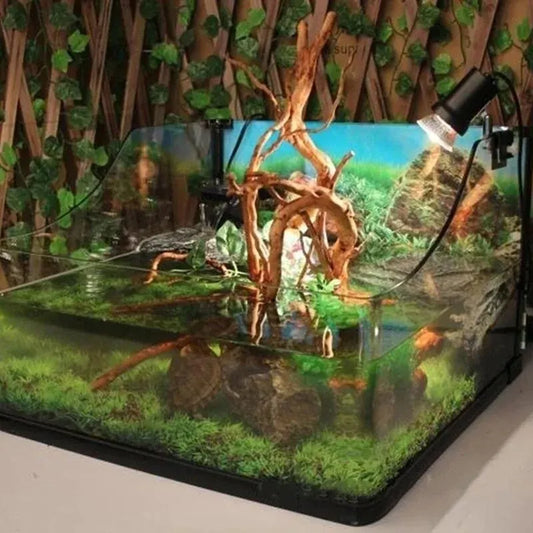 Aquariumdekoration