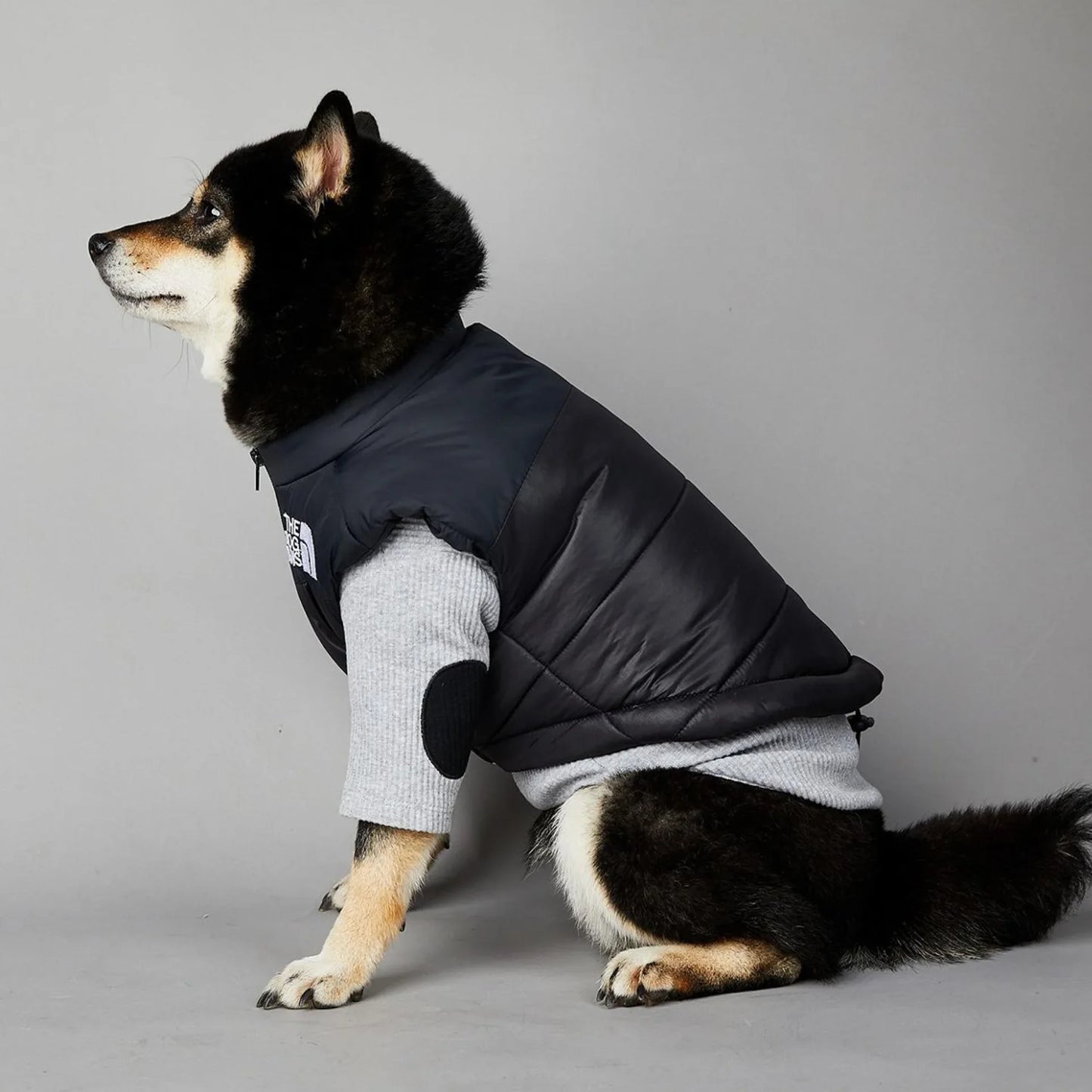 Der luxuriöse Hundeanzug für Hundefans