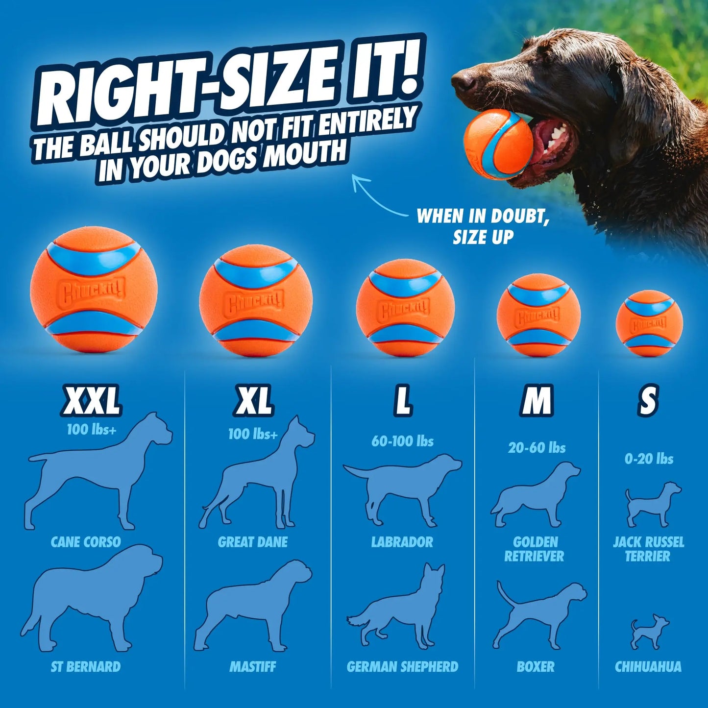 Chuckit UltraBounce Spielball – Kleiner Hüpfball für Hunde