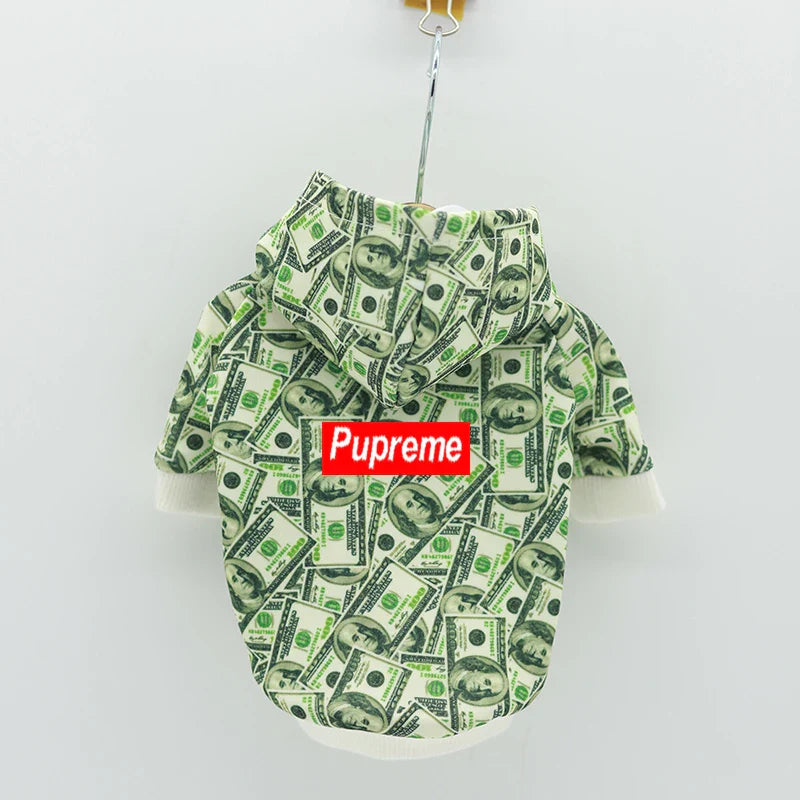 PawElite Luxus-Hundehoodie