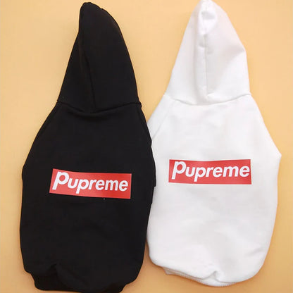 PawElite Luxus-Hundehoodie