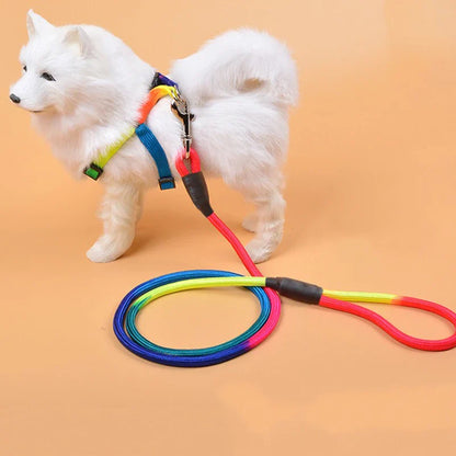 ColorTrail Nylon Ronde Hondenriem