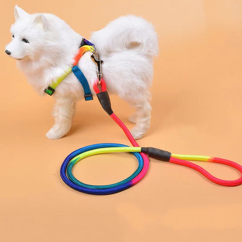 ColorTrail Nylon Ronde Hondenriem