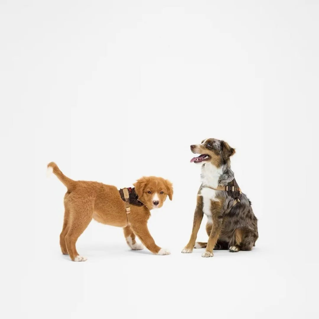 UrbanSafe Pets – Trendiges Brustgeschirr + Leine für Hunde & Katzen