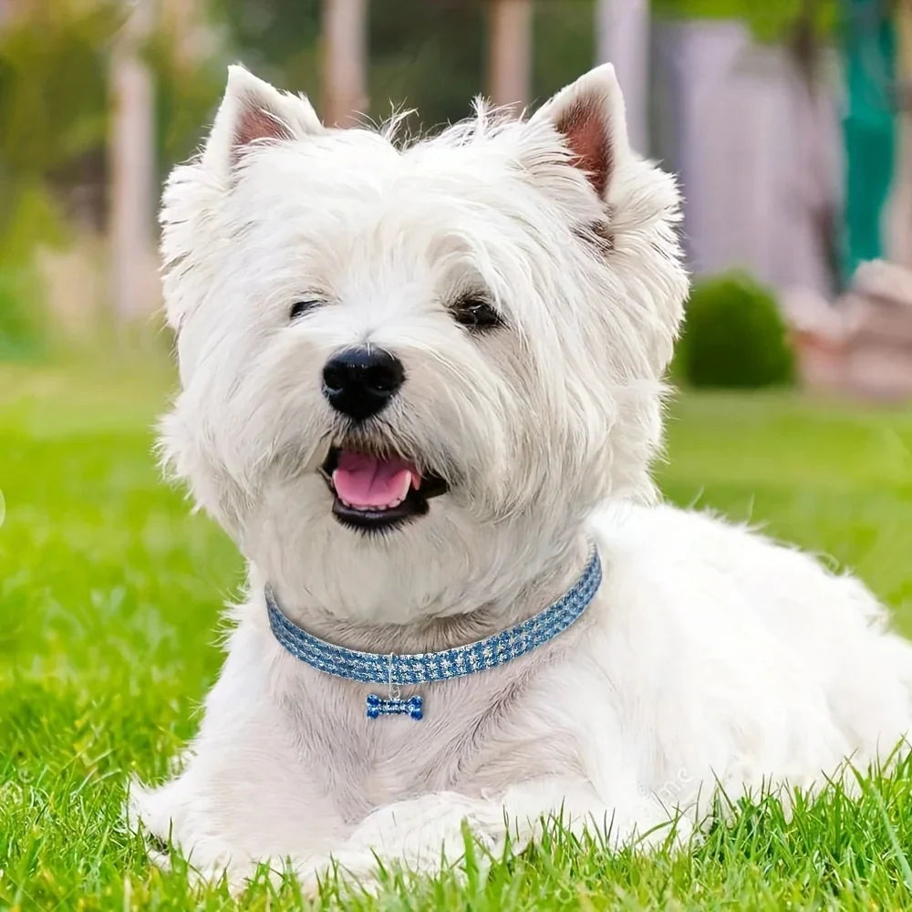 GlamBone Luxus-Hunde- und Katzenhalsband