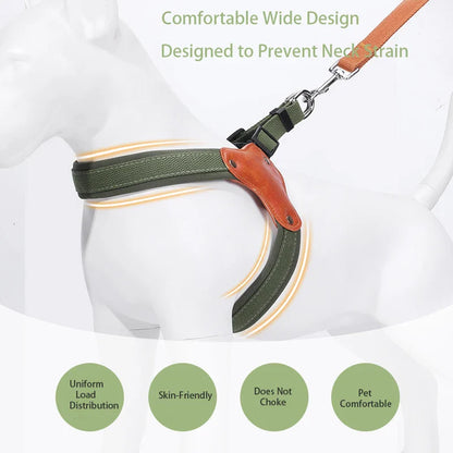 PawCommand Premium Outdoor Geschirr-Set
