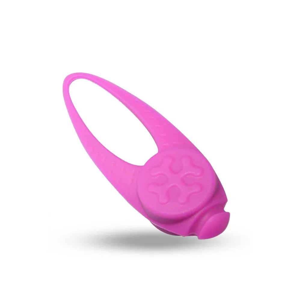 LuminousSafe LED Silikon-Hundeleuchthänger – Blinkendes Sicherheitslicht für Halsbänder