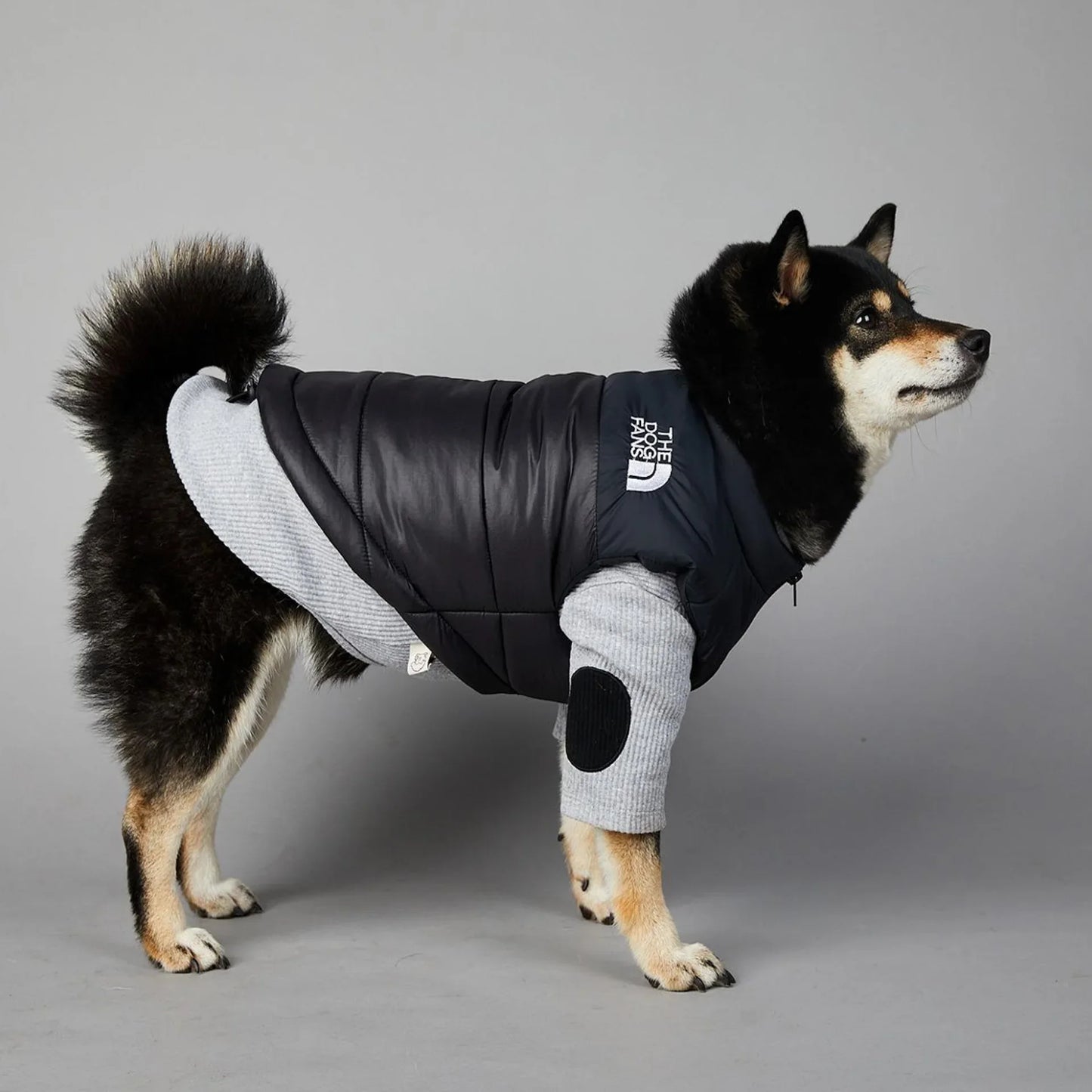Der luxuriöse Hundeanzug für Hundefans
