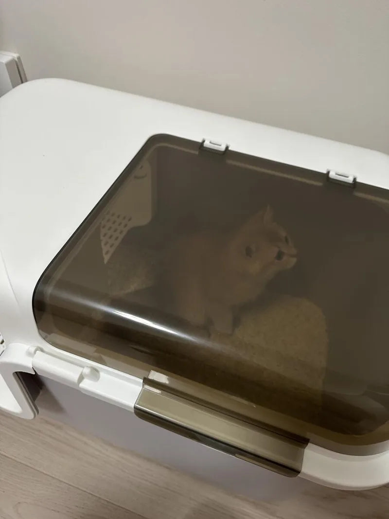 FazziKat Deluxe Katzentoilet mit Korridor-Design