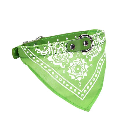 STYLPET PU-Kragen mit Schal