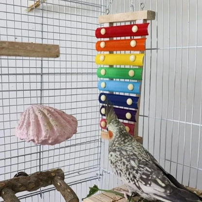 Vogel-Xylophon-Spielzeug aus Holz und Metall – buntes Hühner- und Wellensittichspielzeug