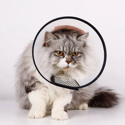 HealGuard ComfyCone Schutzkragen