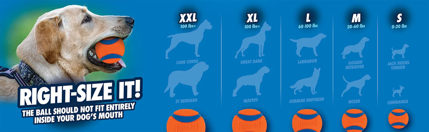 Chuckit UltraBounce Spielball – Kleiner Hüpfball für Hunde