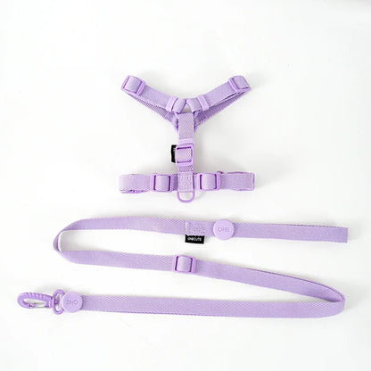 MacaroneWalk – Verstellbares Hundegeschirr-Set mit Halsband und Leine