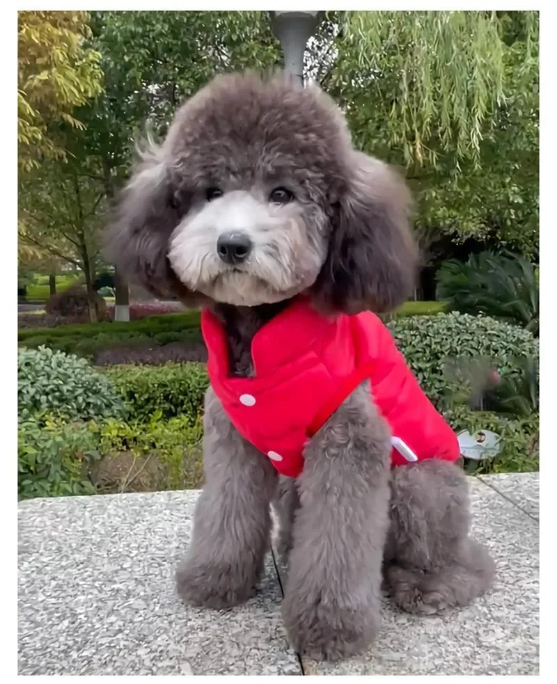 PawLuxe Doppelseitiger warmer Hundemantel