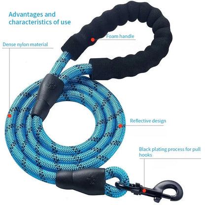 Reflektierende Nylon-Hundeleine 150 cm – Komfort & Sichtbarkeit