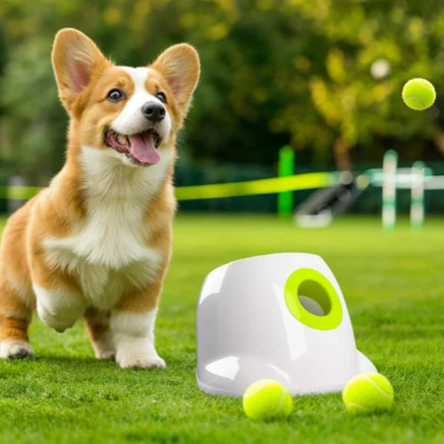 Automatischer Hunde-Ballwerfer – Interaktives Apportierspielzeug