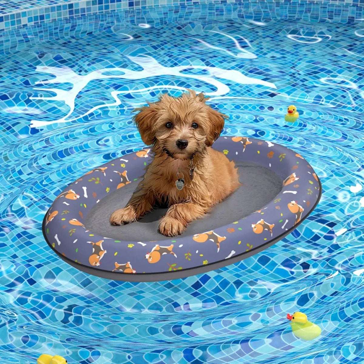 AquaPaws aufblasbares Hundefloß