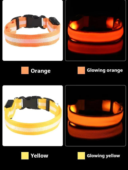 LumiSafe LED Hondenhalsband