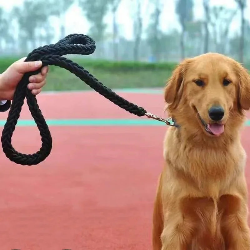 Robuste Nylon-Hundeleine 115 cm – geflochten für große Hunde
