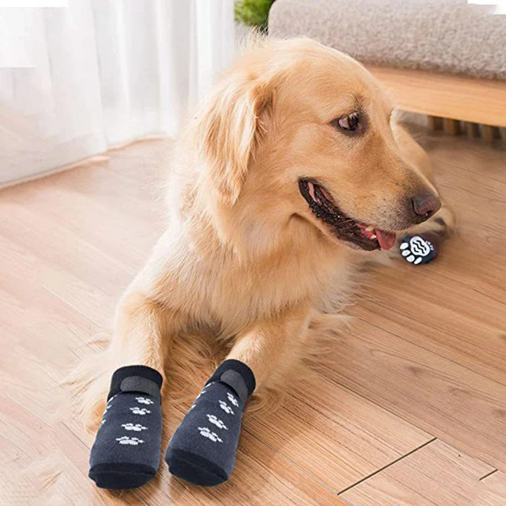 PawSafe rutschfeste Hundesocken